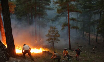 Yahyalı’daki orman yangını devam ediyor