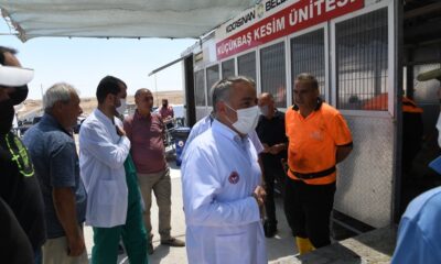 Yaklaşık 200 veteriner hekim kurban kesim yerlerinde görev yaptı