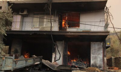 Yanan ahırlardan hayvanlarını traktörlerle taşıdılar