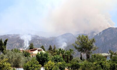 Yangın alanları afet bölgesi ilan edildi