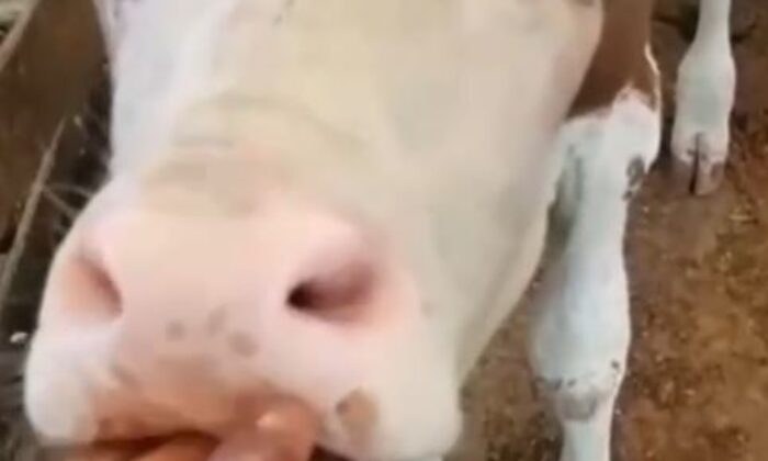 Yangın anında yaşadıklarını gözyaşları içerisinde anlattı, sözleri yürekleri burktu