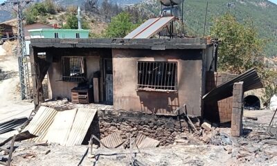 Yangın bölgesinde yaralar sarılmaya çalışılıyor