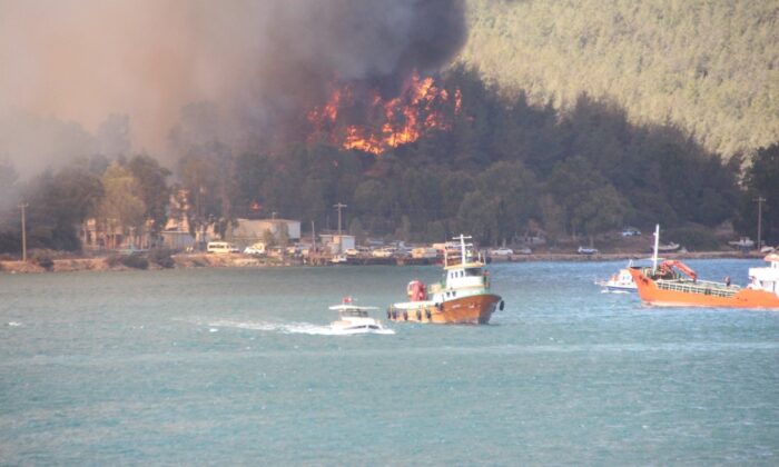 Yangında 80 hektar orman kül oldu