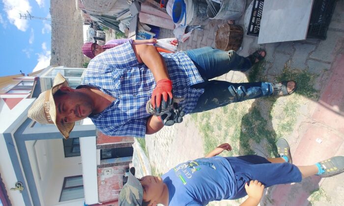 Yaralı yavru baykuşlar tedavi altına alındı