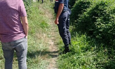 Yaşlı adam bahçede ölü bulundu