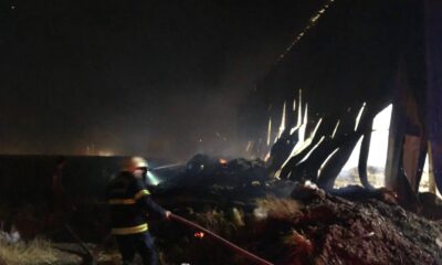 Yem fabrikasında çıkan yangın söndürüldü