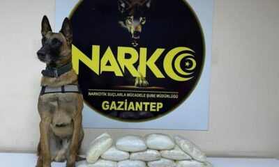 Yolcu otobüsünde 16 kilogram uyuşturucu ele geçirildi