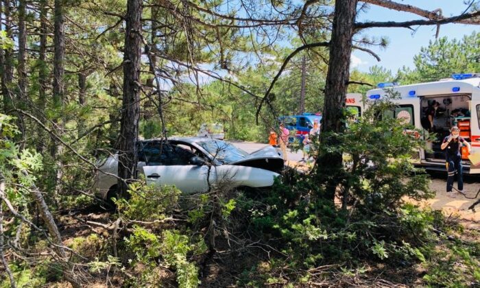 Yoldan çıkan otomobil ağaca çarptı, araçtaki çift yaralandı