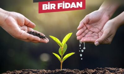 YTB Türkiye Bursları’ndan orman yangınlarında etkilenen bölgelere fidan bağışı