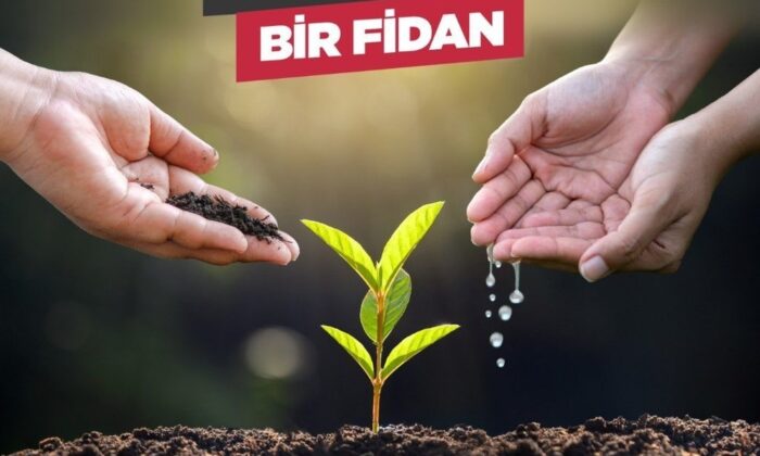 YTB Türkiye Bursları’ndan orman yangınlarında etkilenen bölgelere fidan bağışı
