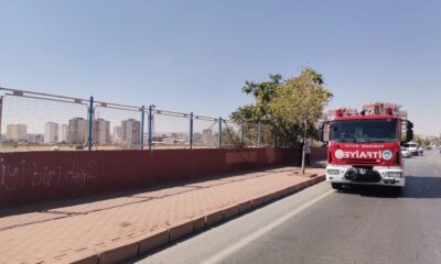 Yüksek gerilim hattına konan kargalar yangına neden oldu