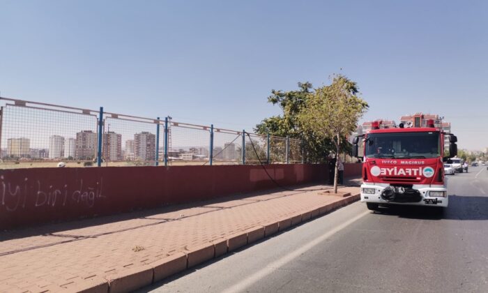 Yüksek gerilim hattına konan kargalar yangına neden oldu