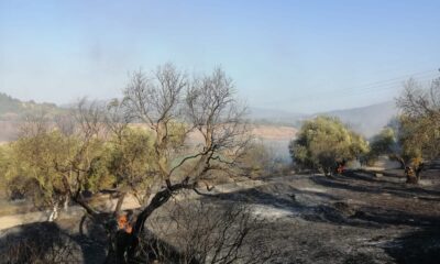 Zirai alanda çıkan yangın kontrol altına alındı