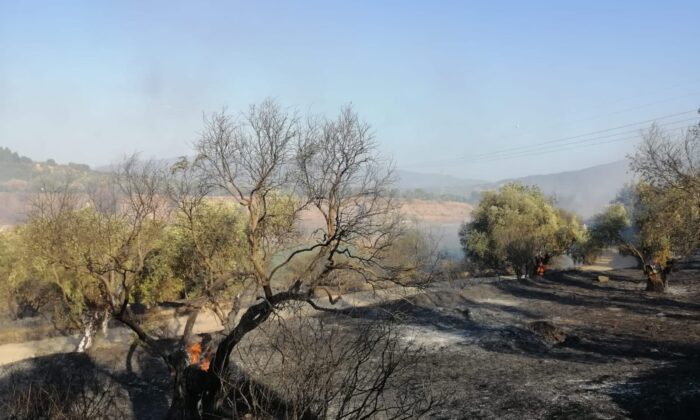 Zirai alanda çıkan yangın kontrol altına alındı
