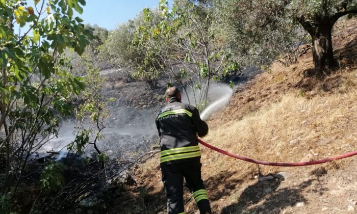 Zirai alandaki yangın evlere ulaşmadan söndürüldü