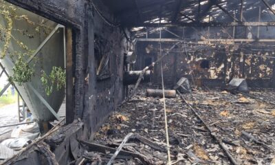 Zonguldak’ta 12 bin hindi yavrusu yangında telef olurken, bir otomobil kullanılamaz hale geldi