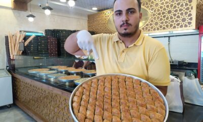 100 fidan bağışı yapana bir kilo baklava bedava