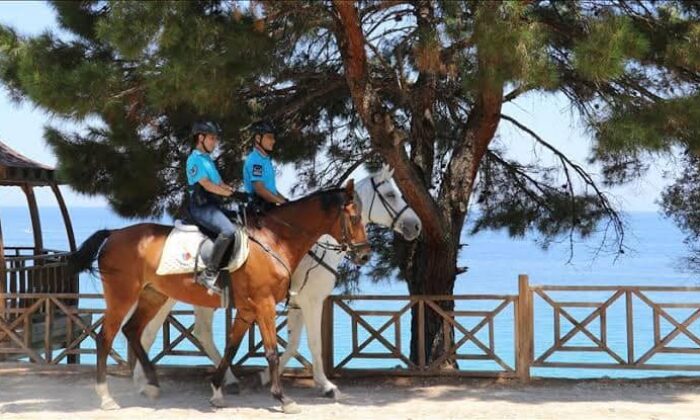 24 saat korunan Milli Park’ta kuş uçurtmuyorlar