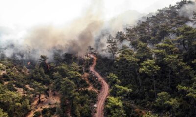 Acı tablo havadan görüntülendi, her yeri kaplayan dumanlar yürekleri dağlıyor