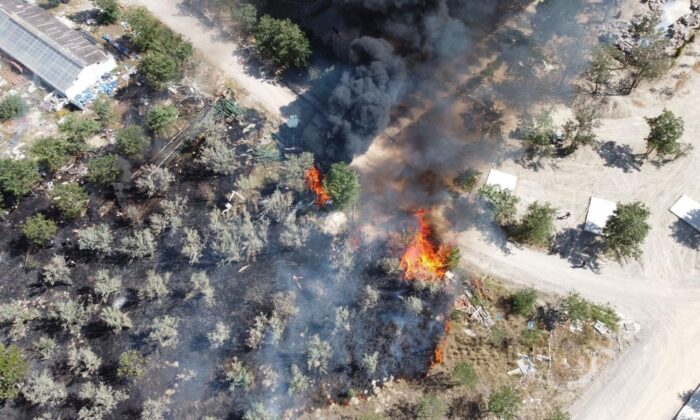 Afyonkarahisar’daki termal tatil köyü arazisinde yangın