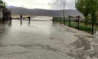 Ağrı’da sağanak yağış sele neden oldu