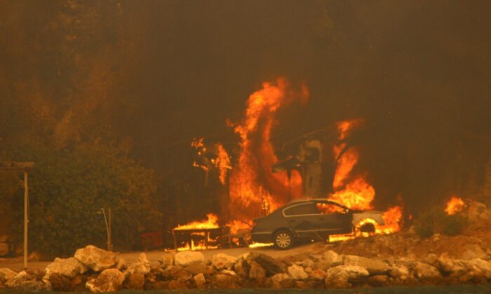 Alevler Çökertme koyuna dayandı