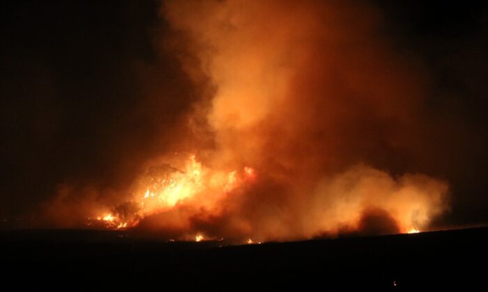 Anız yangını rüzgarın etkisiyle devasa boyuta ulaştı, ekili alanlar zarar gördü