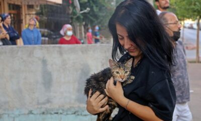 Apartmandaki yangında mahsur kalan ‘Gırgır ile Mırmır’ paniği