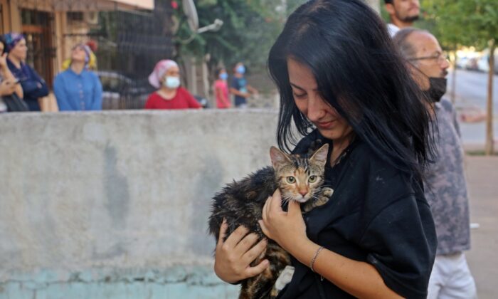 Apartmandaki yangında mahsur kalan ‘Gırgır ile Mırmır’ paniği