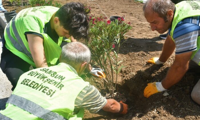 Başkan Demir: “Kentin her köşesine estetik dokunuşlar yapıyoruz”