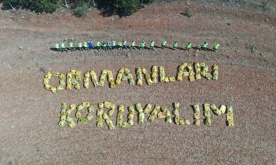 Başkent’te ormanlara bakım çalışması