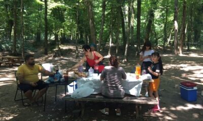 Belgrad Ormanı ıssızlığa büründü