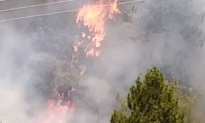 Denizli’de yerleşim yerine yakın alanda orman yangını çıktı