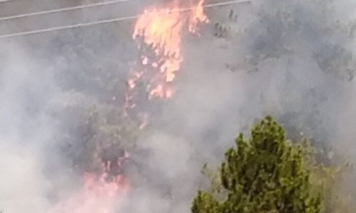 Denizli’de yerleşim yerine yakın alanda orman yangını çıktı