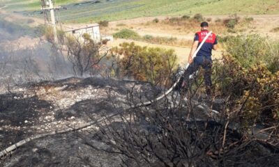 Didim’deki makilik yangını söndürüldü
