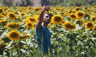 Güne bakanlar başkaldırdı, ortaya bu manzara çıktı