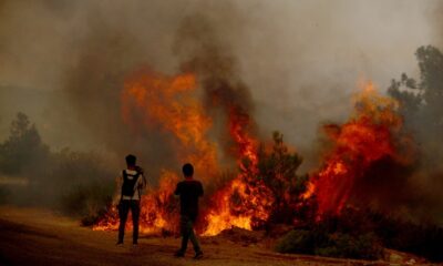 İtfaiye erleri Manavgat’ta alevleri söndürmeye çalışırken büyük tehlike atlattı