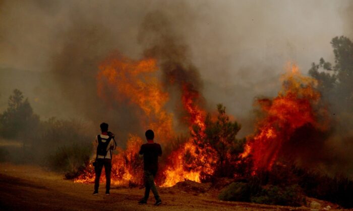 İtfaiye erleri Manavgat’ta alevleri söndürmeye çalışırken büyük tehlike atlattı