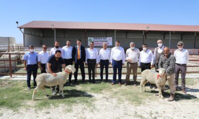 Kırsal Gençlik Değişim Festivali Sivrihisar’da yapıldı