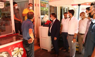 Kuruma tehlikesi yaşayan ağaçlar için sulama talimatı