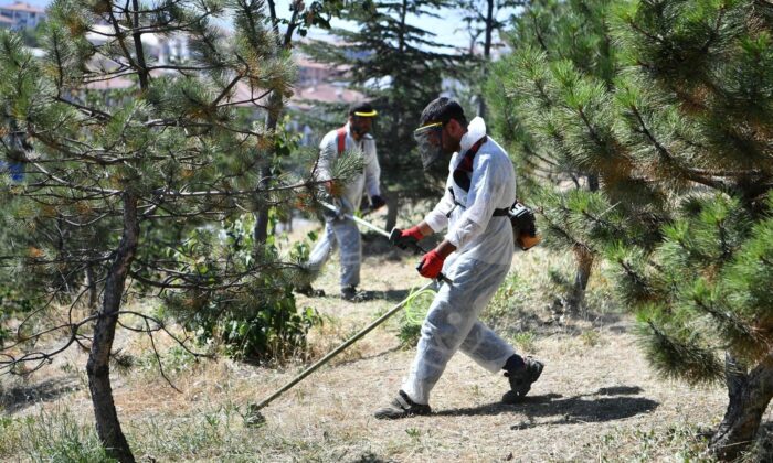 Mamak’ta yabani ot temizliği