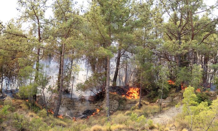 Manavgat yangınında vatandaşlar da canla başla çalışıyor