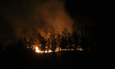 Manavgat’ta otellere yakın noktada yangın çıktı, silahını alan nöbete koştu