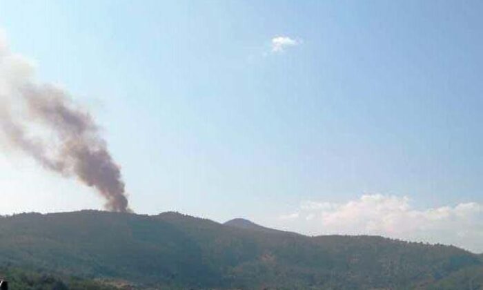 Menteşe’de orman yangını