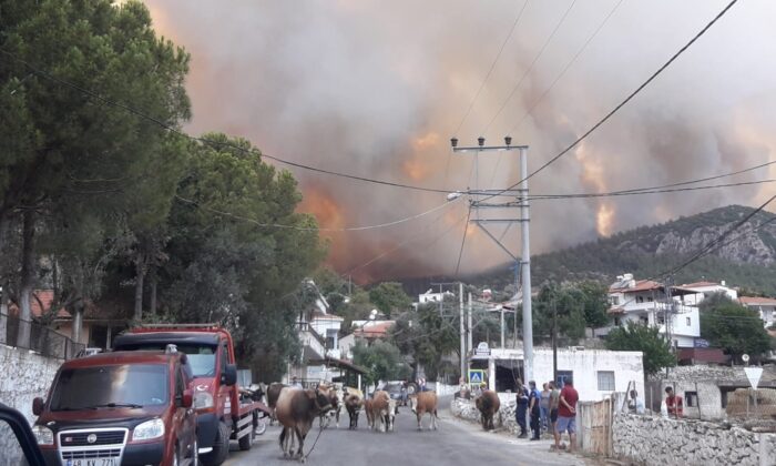 Milas’ta alevler yerleşim bölgesine ulaştı, Gökbel köyü boşaltıldı
