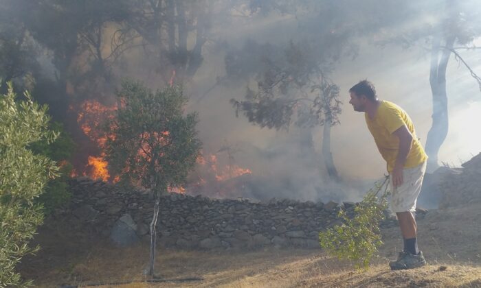 Milas’ta başlayan orman yangını Bodrum’a sıçradı, söndürme çalışmaları devam ediyor