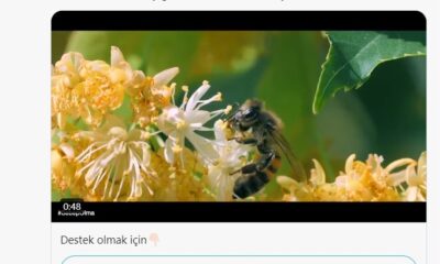 Orman Genel Müdürlüğü’nden farkındalık paylaşımı