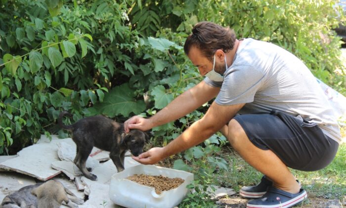 Ormanlara girişler yasaklanınca hayvanlar için harekete geçtiler