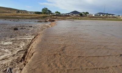 Özalp’ta sel, çok sayıda küçükbaş hayvan telef oldu