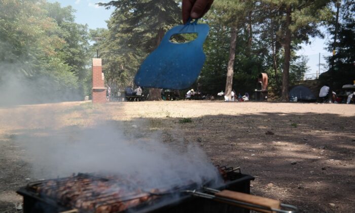 Piknik alanlarında yoğunluk oluştu